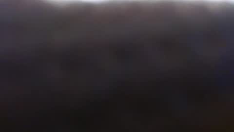 Exoticlexxii online show from October 5, 7:45 pm