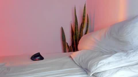 -  A N D E R online show from November 9, 1:59 am