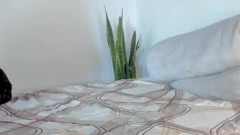 -  A N D E R online show from January 11, 2:00 pm