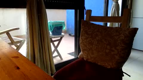 Snapshot of fabro45 chatting on March 13, 7:48 am Fabro online show from March 13, 7:48 am