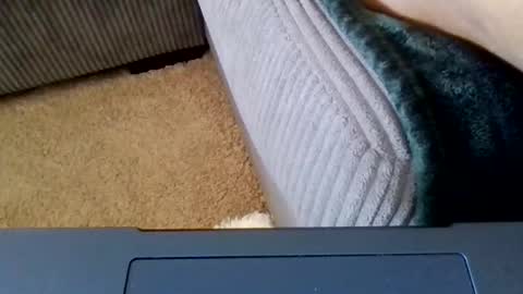 Caylenge online show from April 21, 4:23 pm