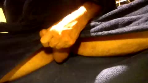 fastoys aka ...what ever.. online show from March 12, 4:24 pm