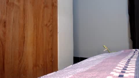 Snapshot of fatpussy_ebony_girl chatting on July 19, 7:56 am lexie online show from July 19, 7:56 am