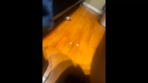 fatz71056 online show from October 16, 10:16 am