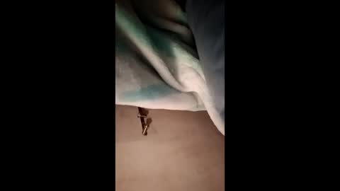 Snapshot of fcp27392194 chatting on February 7, 11:08 pm fcp27392194 online show from February 7, 11:08 pm