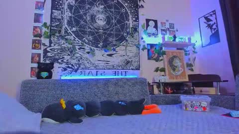 Diva online show from November 11, 2:22 am