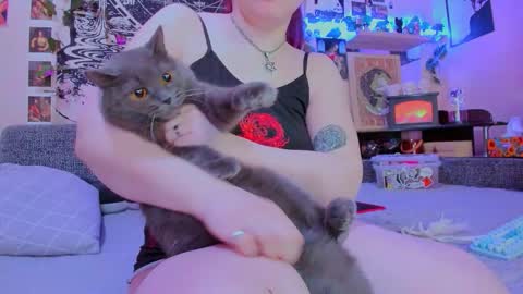 Diva online show from February 4, 2:06 am