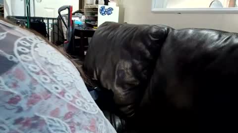 Snapshot of feastonme00 chatting on July 4, 2:12 pm feastonme00 online show from July 4, 2:12 pm
