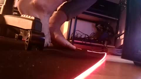 Snapshot of feetishman91 chatting on March 27, 6:18 pm feetishman91 online show from March 27, 6:18 pm