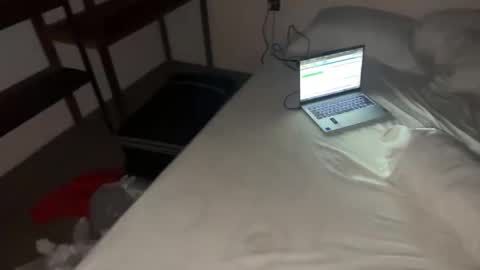 Dani online show from November 12, 8:30 pm