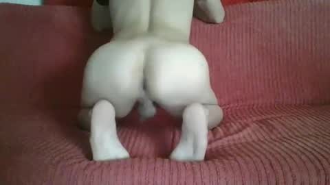 femboyhot28 online show from November 9, 3:05 am