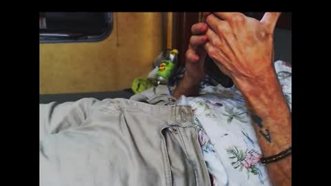 ferra_testarossa online show from October 9, 5:05 am