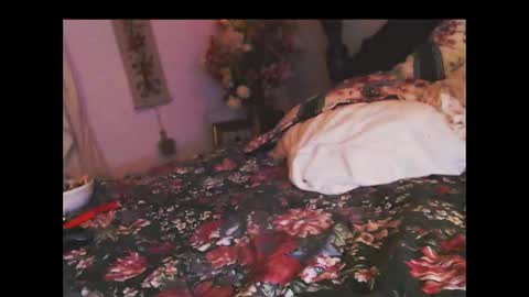 ferra_testarossa online show from November 5, 3:17 am