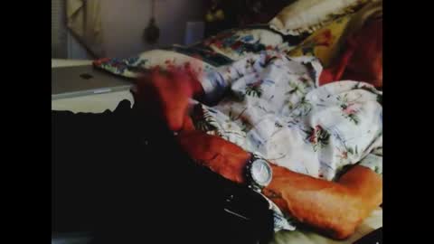 Snapshot of ferra_testarossa chatting on July 1, 5:31 am ferra_testarossa online show from July 1, 5:31 am