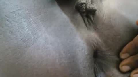 Ferie online show from September 27, 4:06 am