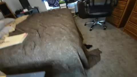 filfaonyx online show from November 4, 5:12 pm