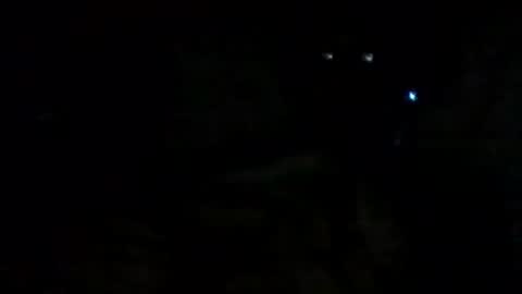 filippo online show from September 14, 9:41 am