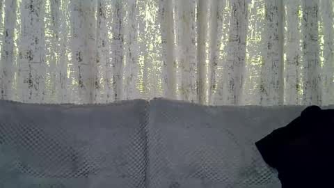 Snapshot of fine_queen12 chatting on March 24, 11:48 am fine_queen12 online show from March 24, 11:48 am