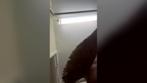 finessegod26 online show from February 3, 2:21 am