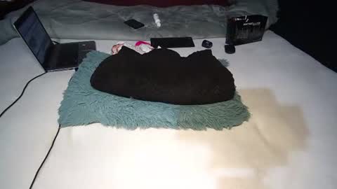 Snapshot of finito_nyl chatting on November 10, 8:46 am Rania online show from November 10, 8:46 am