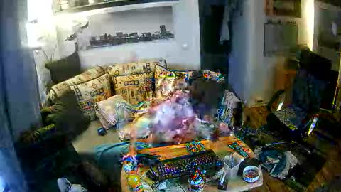 fips1981 online show from November 21, 6:56 am