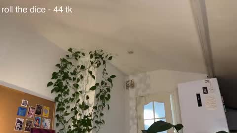 Eva online show from October 19, 6:30 pm