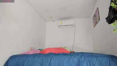    online show from November 11, 3:06 am