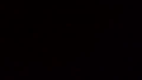 floridaman320 online show from November 11, 6:19 pm