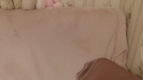 say meow and send tip  online show from June 26, 5:39 pm