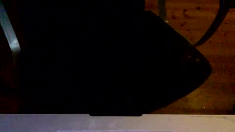 Snapshot of flowmover chatting on December 2, 8:33 pm flowmover online show from December 2, 8:33 pm