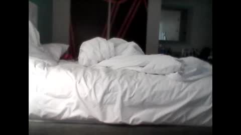 foeydog2024 online show from February 1, 6:06 pm