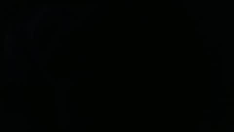 Snapshot of fonixxx69 chatting on August 1, 7:13 pm fonixxx69 online show from August 1, 7:13 pm