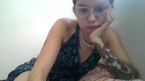 forestpet12 online show from December 2, 7:03 am