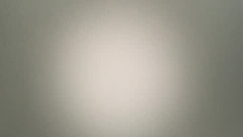 Snapshot of foxysausage chatting on February 6, 12:30 pm foxysausage online show from February 6, 12:30 pm