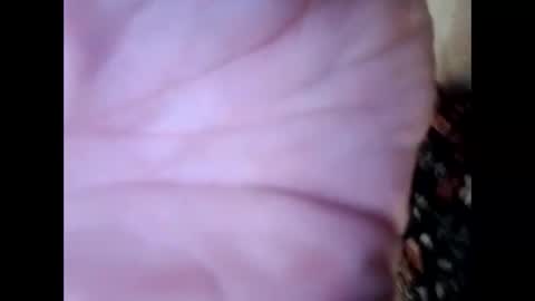 frecklesandsparky online show from April 4, 2:25 pm