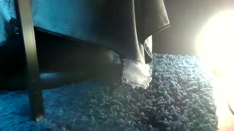 Snapshot of fredthetom12 chatting on February 15, 4:45 pm Greedy Fred online show from February 15, 4:45 pm