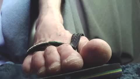 Greedy Fred online show from February 18, 2:13 pm