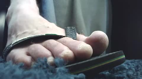 Greedy Fred online show from April 24, 1:13 pm