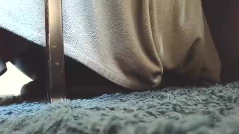 Greedy Fred online show from July 15, 1:49 pm