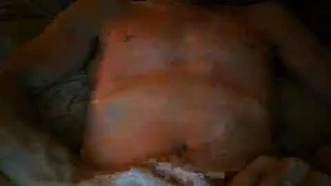 free willy online show from November 17, 4:46 pm