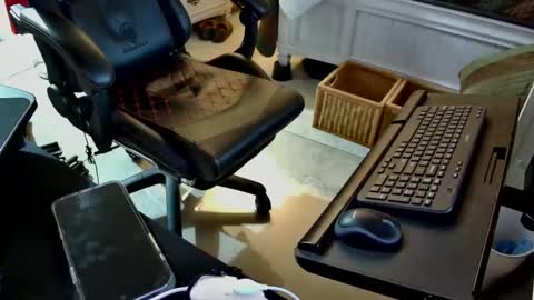 Snapshot of freespirt2 chatting on November 1, 3:08 am freespirt2 online show from November 1, 3:08 am