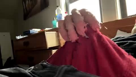 Snapshot of freezeskiii chatting on November 18, 7:51 pm freezeskiii online show from November 18, 7:51 pm