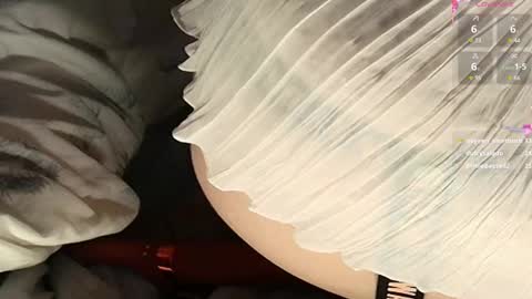 Snapshot of frenulumsnap chatting on February 22, 6:08 pm Meadow online show from February 22, 6:08 pm