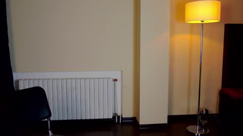 Snapshot of friend123211 chatting on February 2, 3:32 am Viktor online show from February 2, 3:32 am