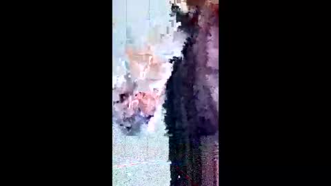 friendshipplus online show from February 3, 8:08 am