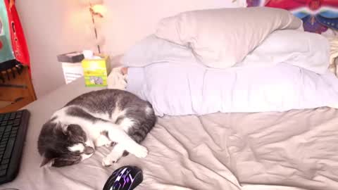 fuckmypussyplz1 online show from February 1, 5:37 pm