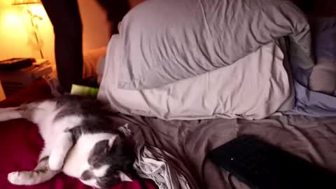 fuckmypussyplz1 online show from February 3, 12:47 am