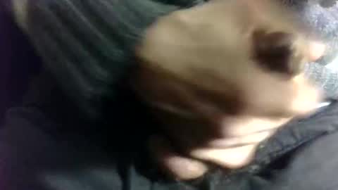 Snapshot of fuckyourbaby69 chatting on January 2, 8:24 pm tugatito online show from January 2, 8:24 pm