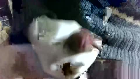 Snapshot of fuckyourbaby69 chatting on February 14, 9:13 am tugatito online show from February 14, 9:13 am