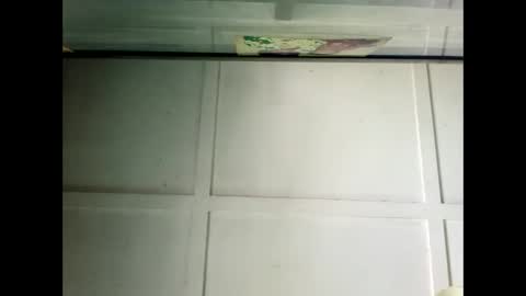 Snapshot of fucmebudoo chatting on December 19, 2:56 am Warwick online show from December 19, 2:56 am